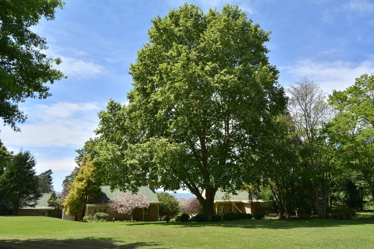Halliwell Country Inn Howick Εξωτερικό φωτογραφία